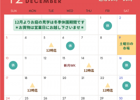 ホワイト  赤 緑 クリスマス 12月のスケジュール 営業日カレンダー インスタグラム投稿